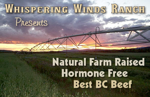 Natural Farm Raised Beef